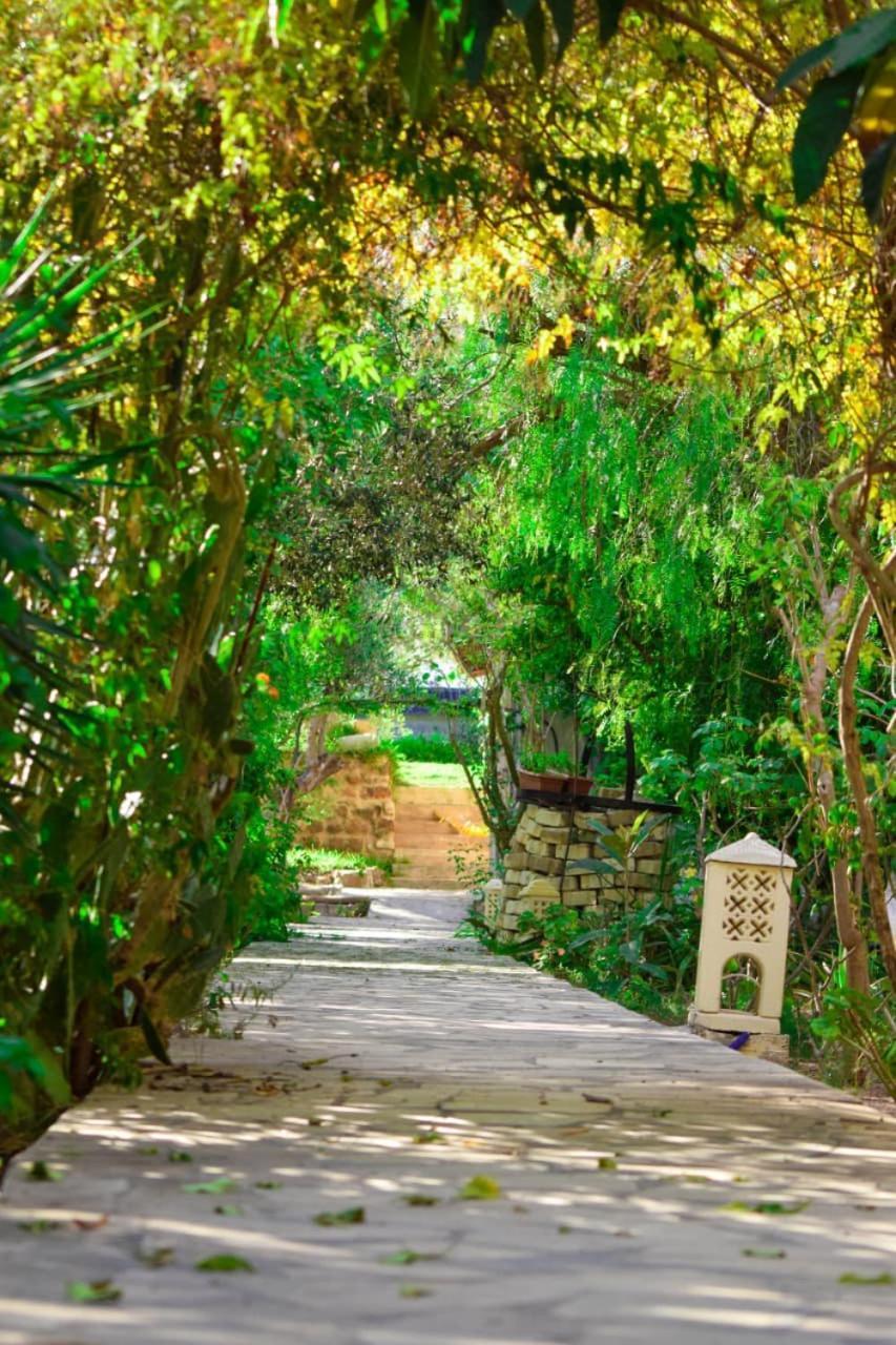 Dar Beldi Hammamet Exterior foto